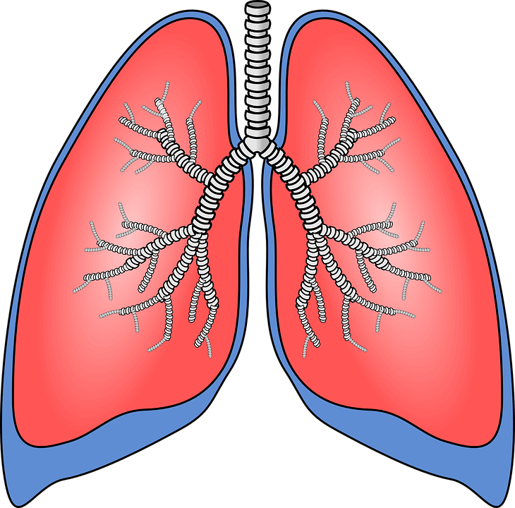 interstiziopatia polmonare in sclerosi sistemica